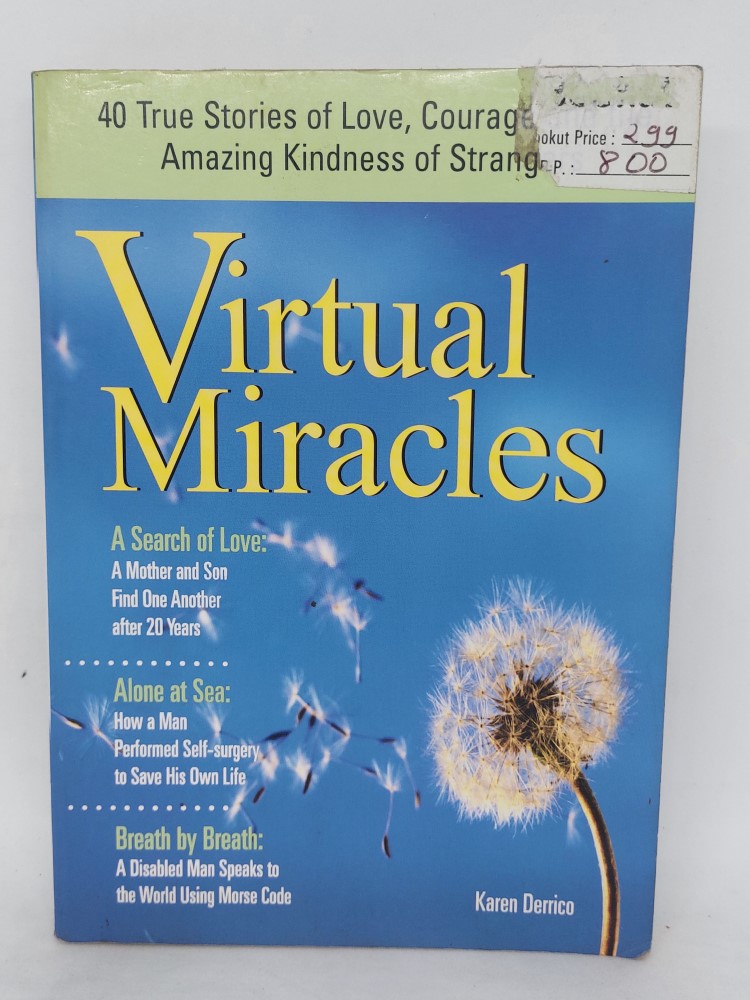 Virtual Miracles By Karen Derrico